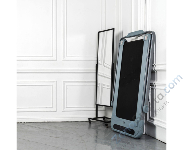 Беговая дорожка DFC Libero Slim T100G (серебристая)