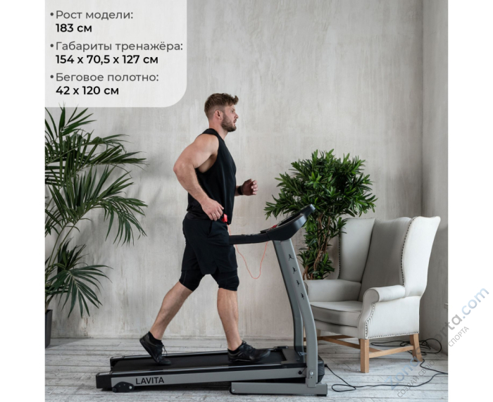 Беговая дорожка DFC Lavita T350