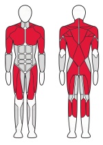 Блочная стойка регулируемая Fitex Pro FTX-6232R