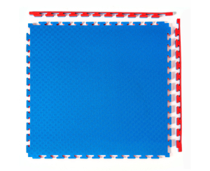 Будо-мат DFC, 100 x 100 см, 20 мм, цвет сине-красный