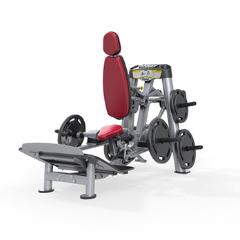 Гак-приседание, становая тяга Hoist RPL-5356