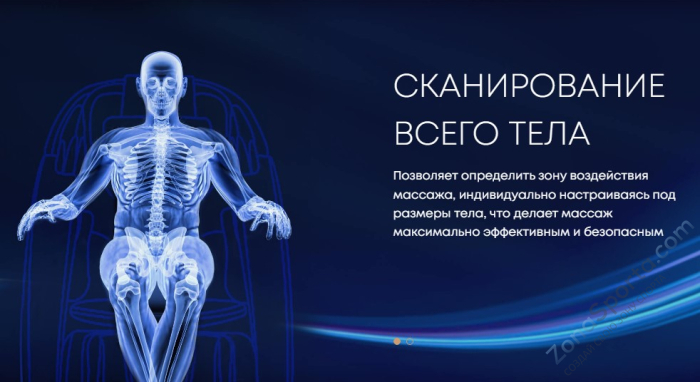 Массажное кресло iMassage Zero Gravity Black/Brown