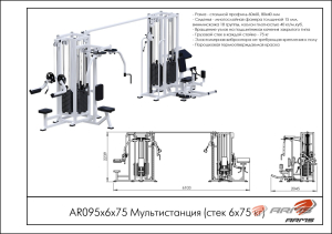 Мультистанция (стек 6х75 кг) ARMS AR095х6х75