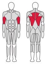 Нижняя тяга Fitex Pro FTX-7313