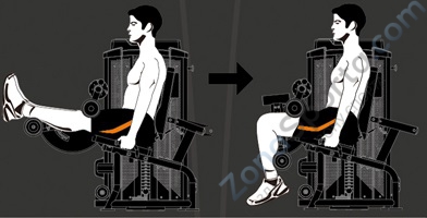 Разгибание ног сидя Steel Flex Hope HLE200