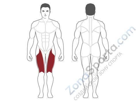 Разгибание ног сидя Steel Flex Hope HLE200