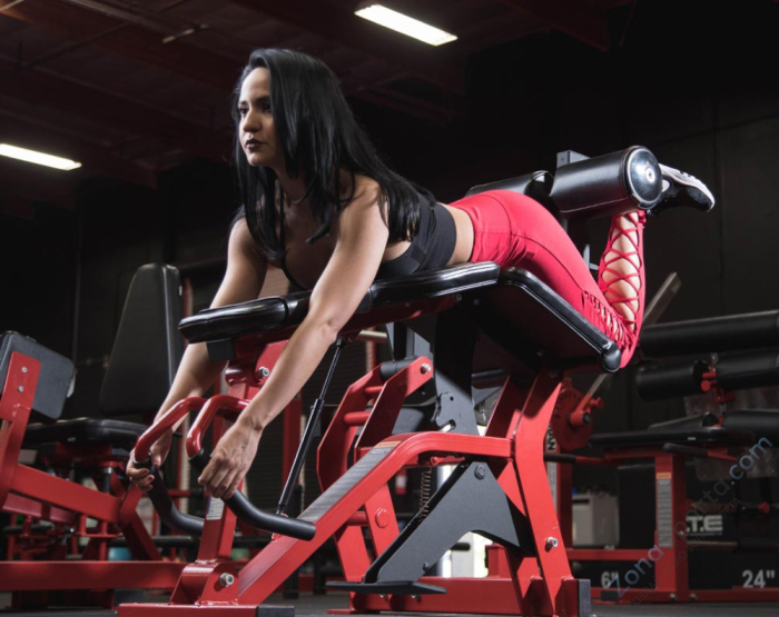 Сгибание ног лежа Foreman FLY-213