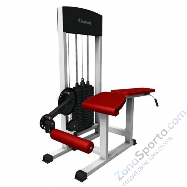 Сгибание ног лежа Iron King IK 10 (1620*850*1700)