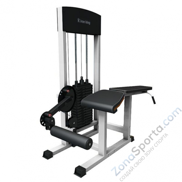 Сгибание ног лежа Iron King IK 10 (1620*850*1700)