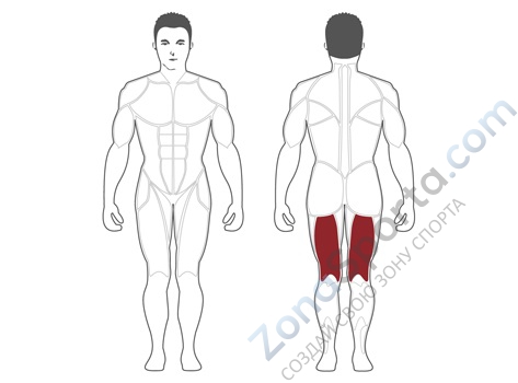 Сгибание ног стоя Steel Flex Hope HLC400B