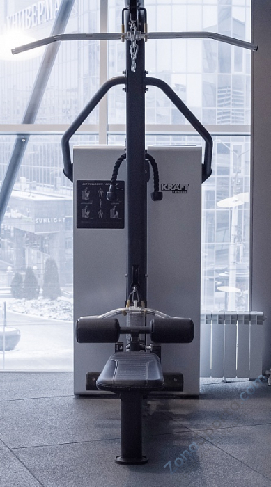 Силовой тренажер Тяга сверху/гребля сидя Kraft Fitness KFDXPSR