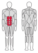 Скамейка для пресса регулируемая Fitex Pro Optima FTX-61A41