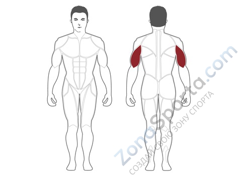 Трицепс машина Steel Flex Hope HTE1200