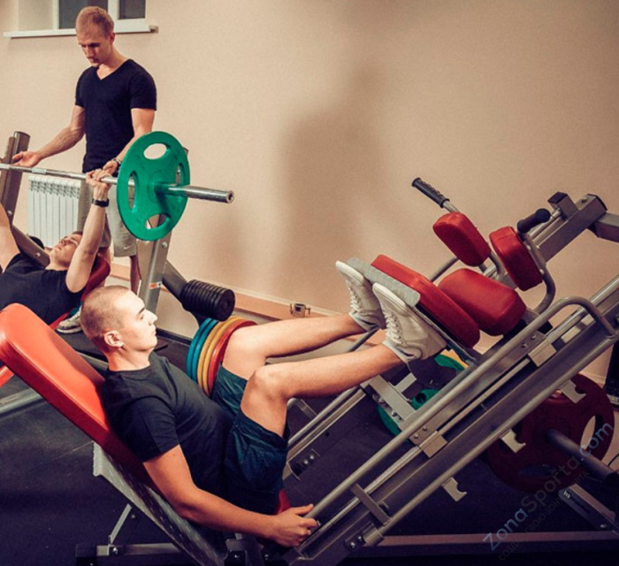 Жим ногами / Гак-машина Impulse IFLPHS