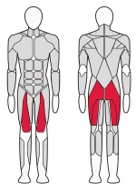 Жим ногами под углом Fitex Pro FTX-FB56